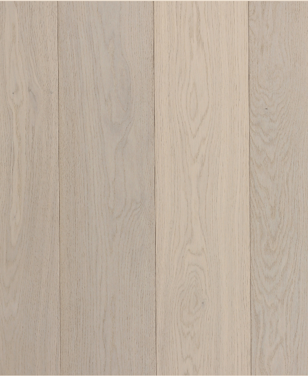 Riva Elite 8 Select Pearl European Oak engineered hardwood flooring, 5/8x8'x8', with UV matte finish for durable beauty.