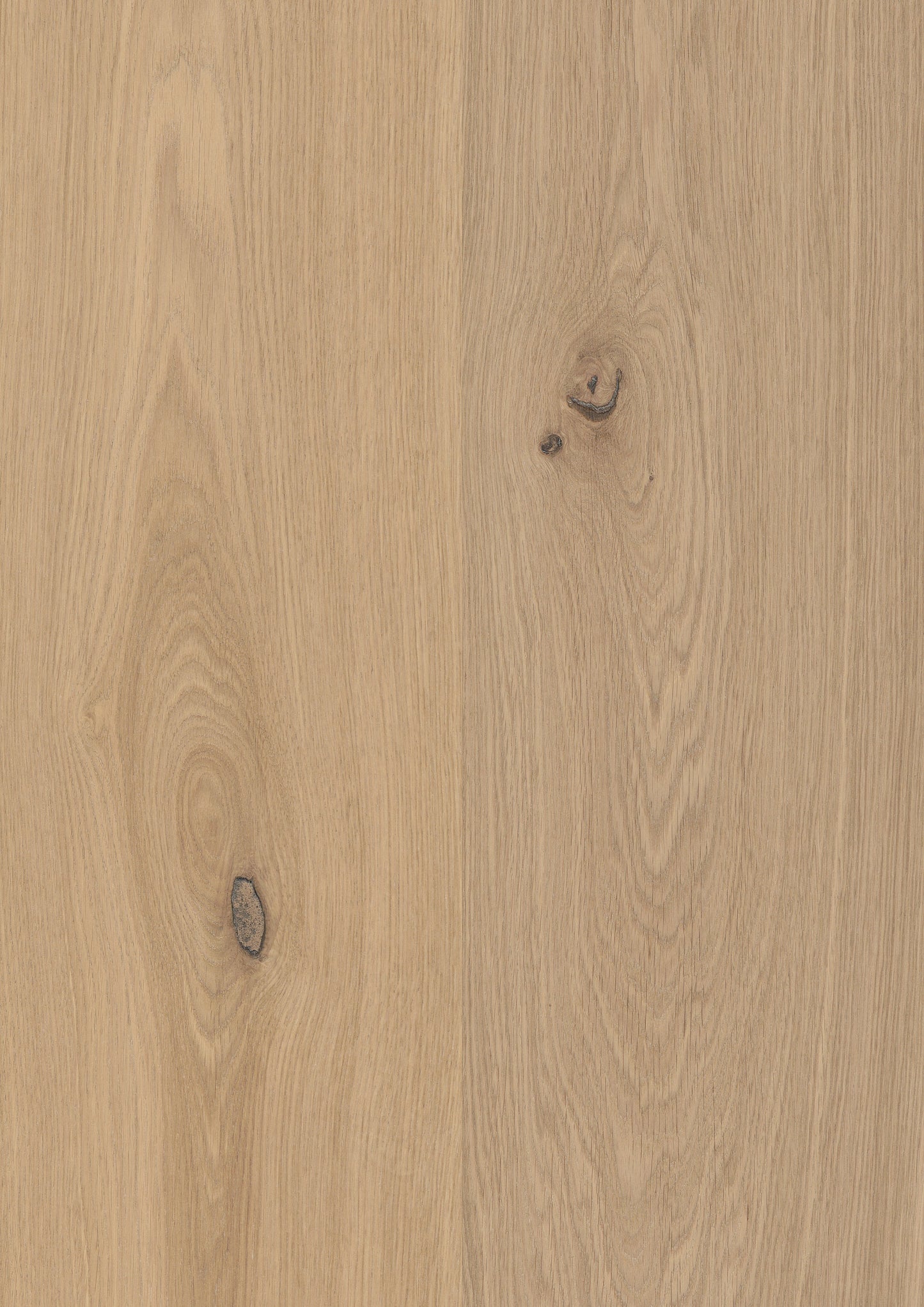 Woodura Bjelin Nature Collection XL Misty White Oak engineered hardwood flooring, 11.3mm thick, with UV cured smooth finish.