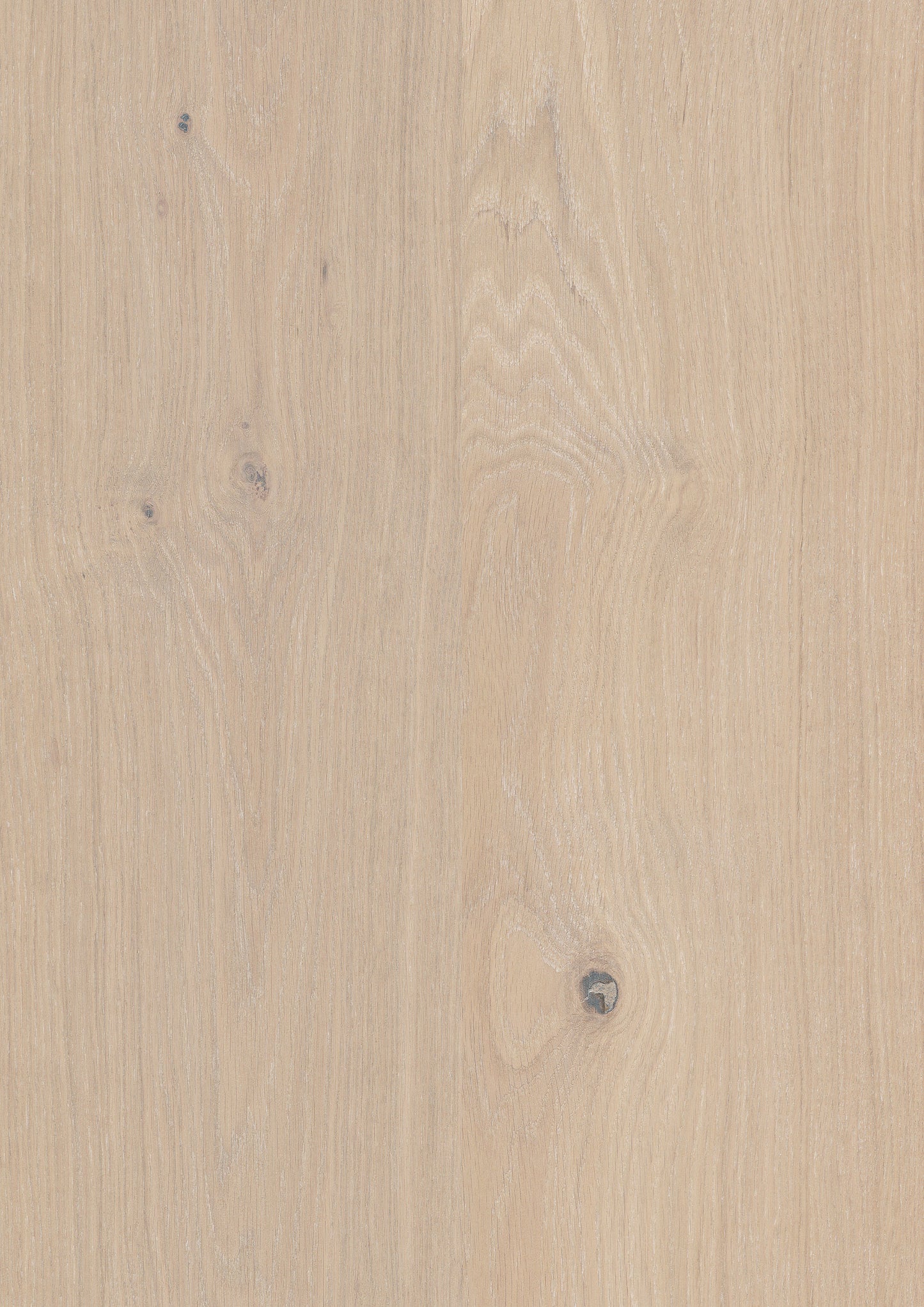 Woodura Bjelin Nature Collection XL Powder White Oak engineered hardwood flooring, 11.3mm, UV cured smooth finish, floating installation.