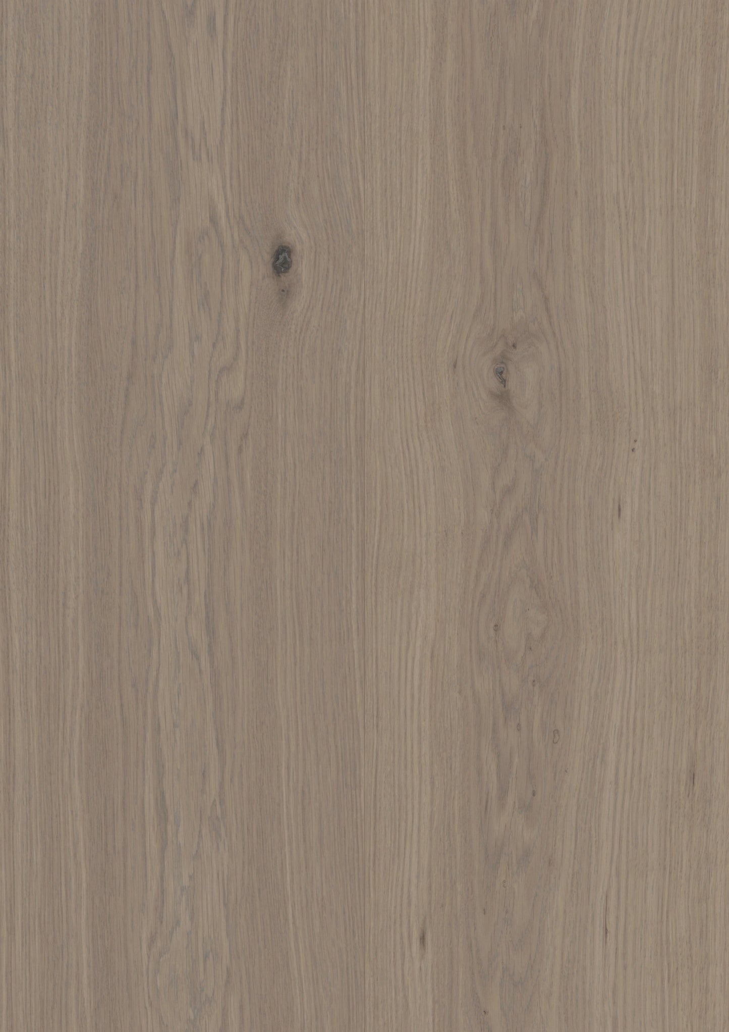 Woodura Bjelin Earth Grey Oak engineered hardwood flooring, Nature Collection XXL, UV cured finish, 11.3mm thickness, durable & stylish.
