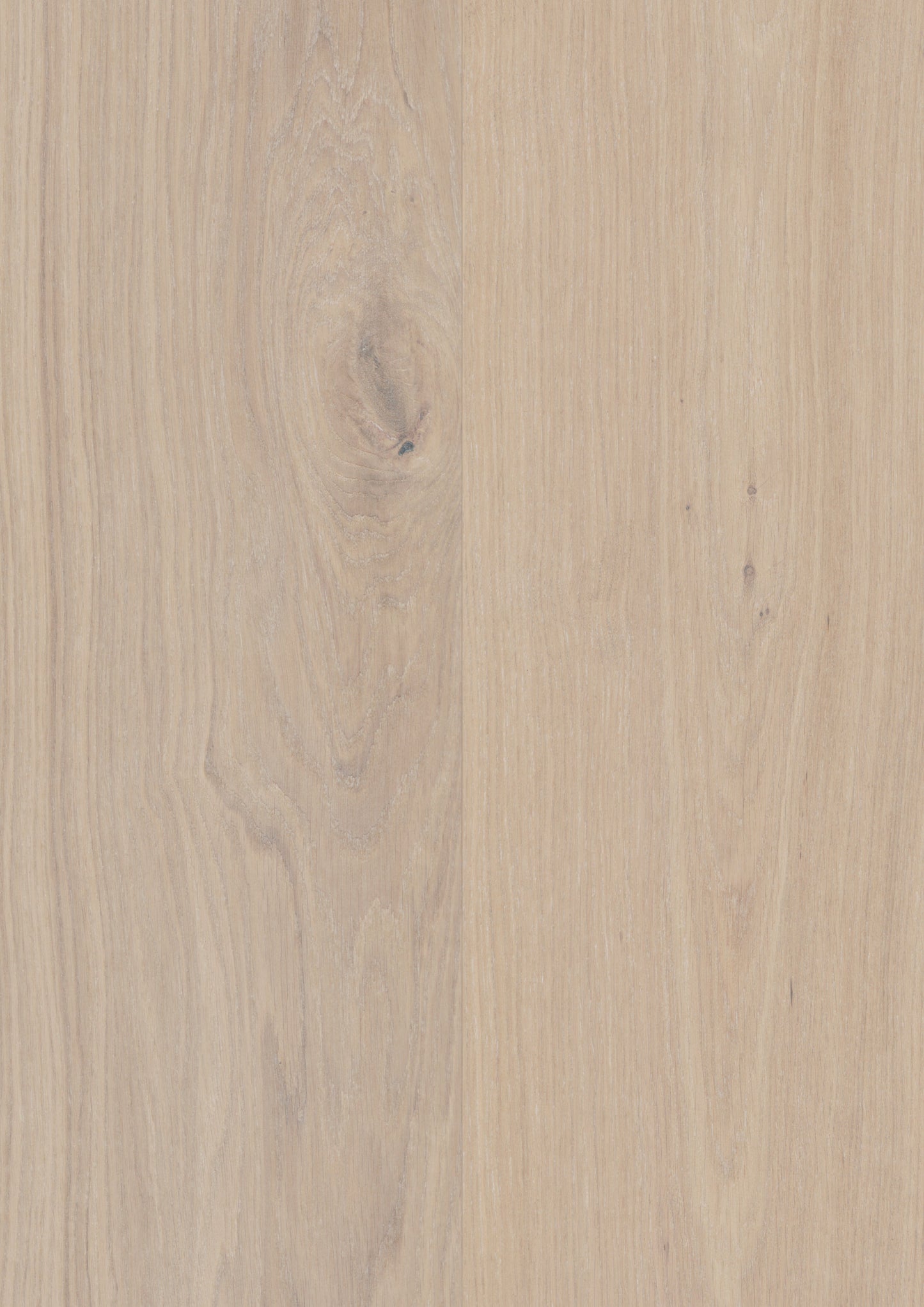 Powder White Oak engineered hardwood from Woodura Bjelin's Nature Collection XXL, perfect for stylish flooring upgrades.