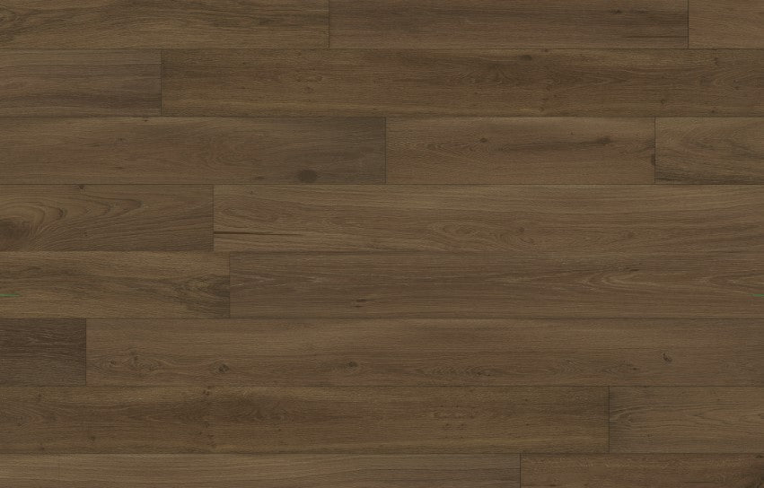 DM Pure Line Genese Collection