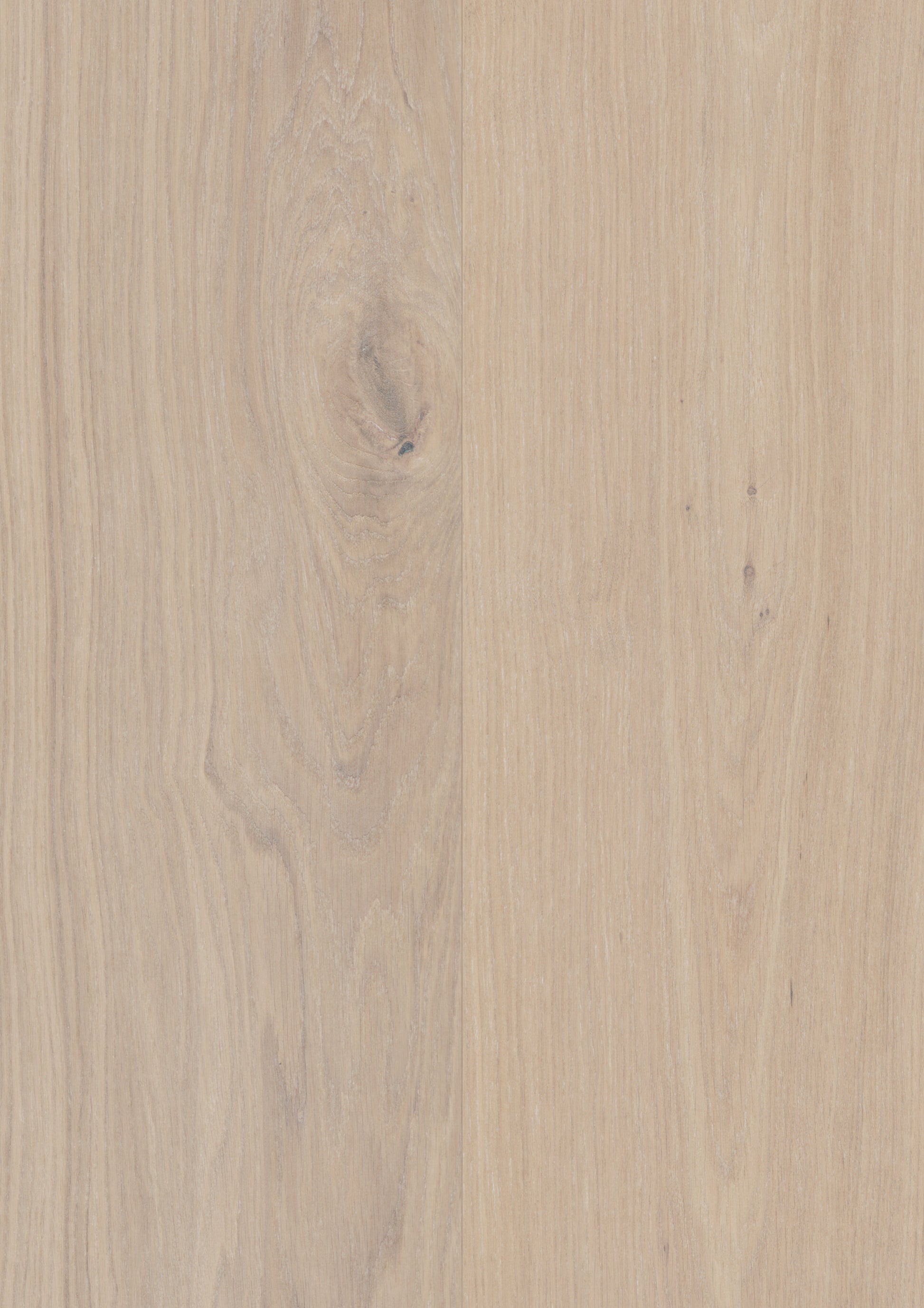 Powder White Oak engineered hardwood from Woodura Bjelin's Nature Collection XXL, perfect for stylish flooring upgrades.